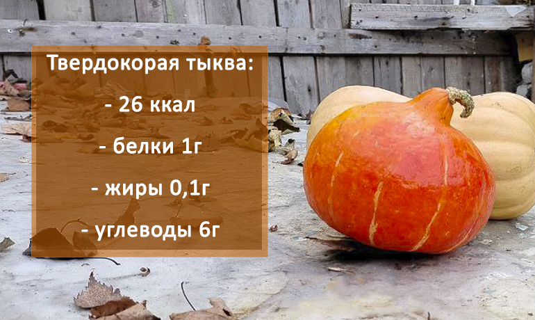 Твердокорая тыква