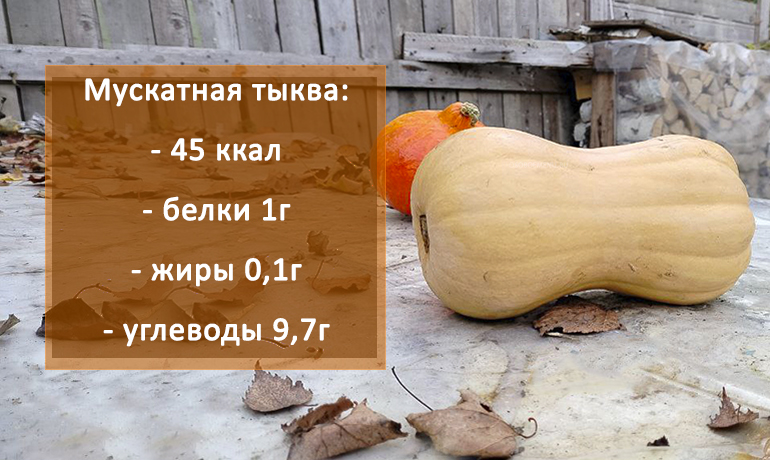 Мускатная тыква